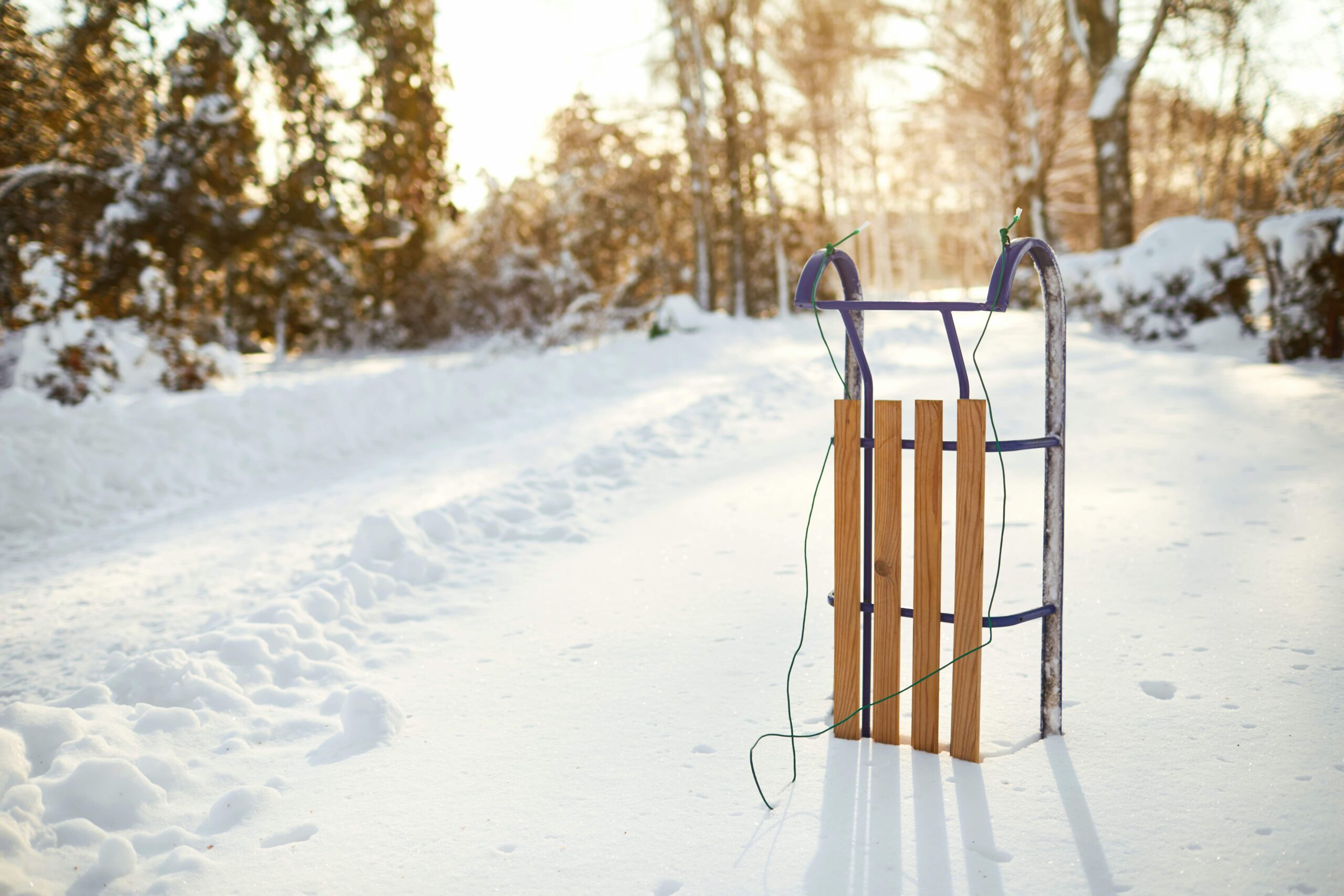 wooden sled in snow path in woods