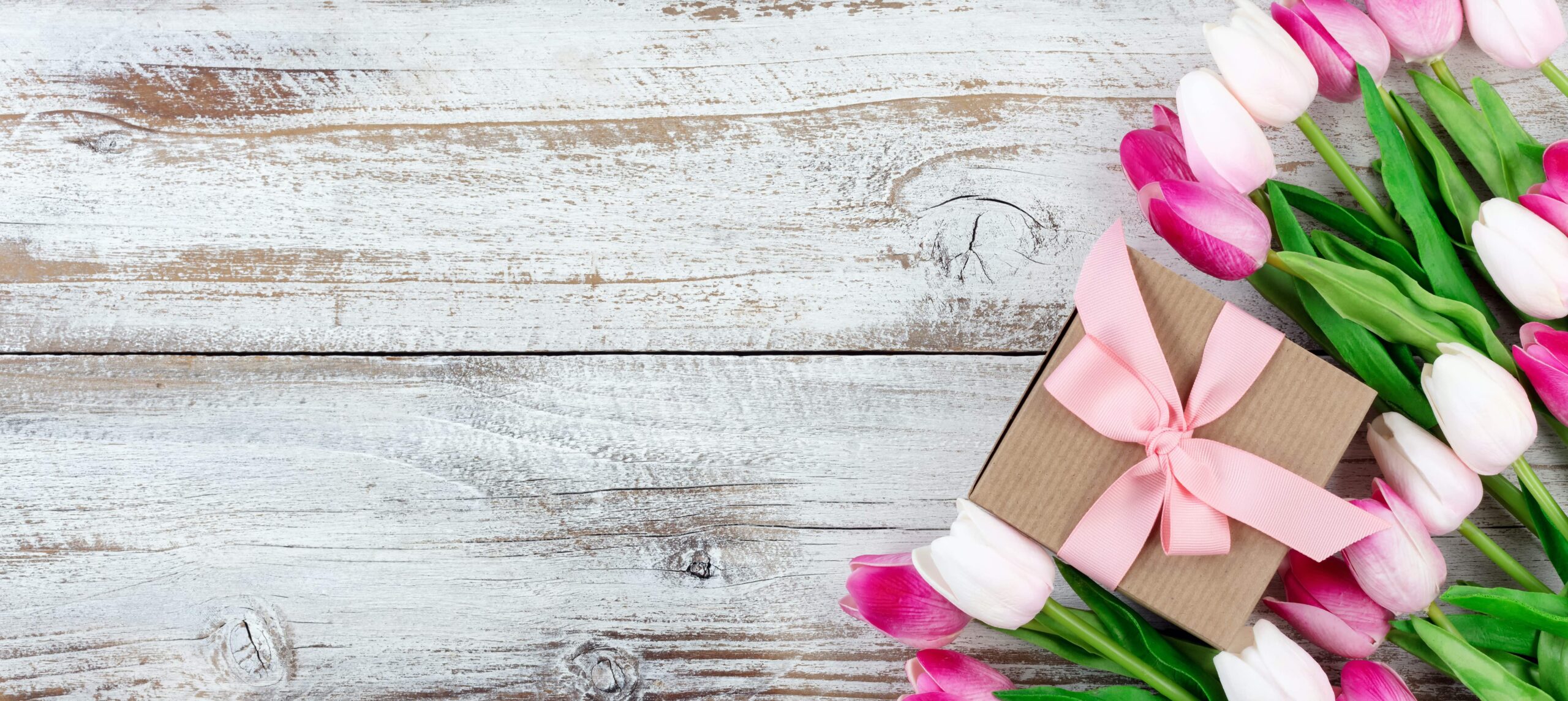 overhead view of a springtime pink tulips on white weathered wooden boards