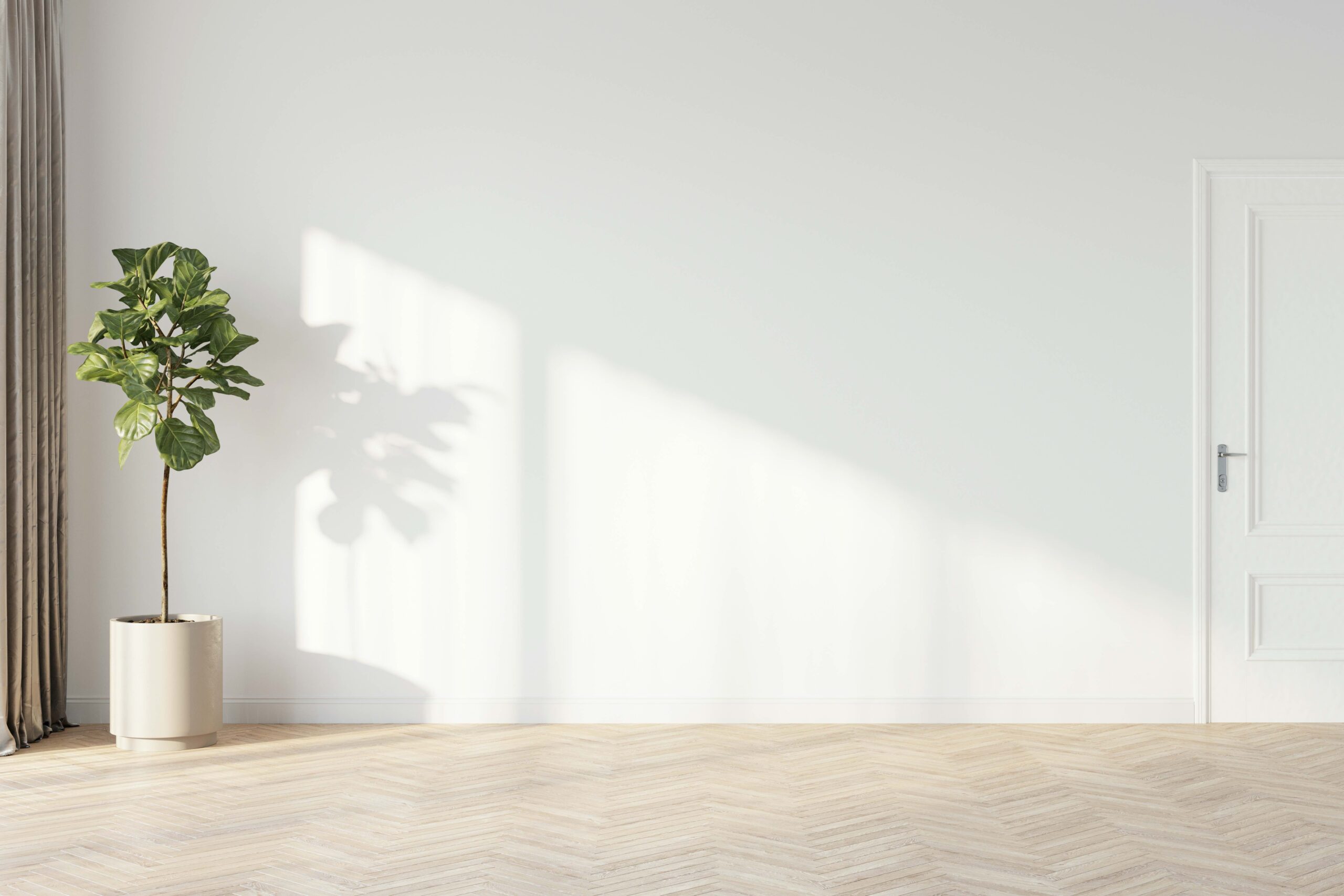 Neutral painted wall with plant in left corner