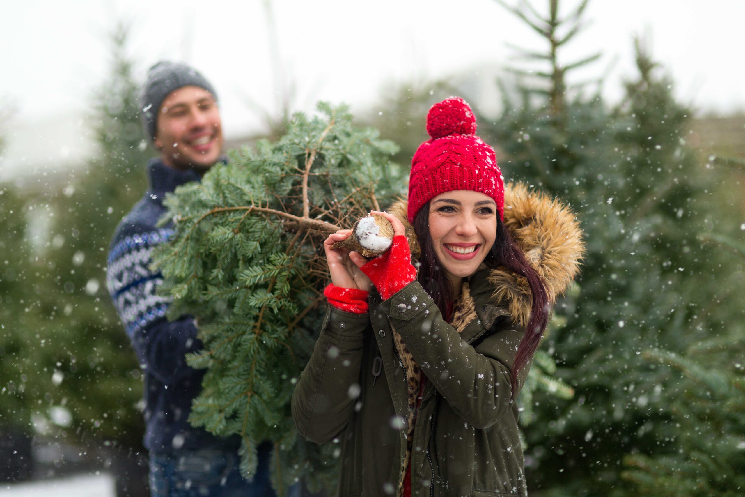 A young couple carrying a Christmas tree
