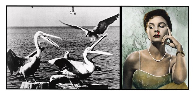 John Baldessari art left panel pelicans on a dock in front of the ocean, right panel a young woman in yellow dress with pearls and a nose bleed