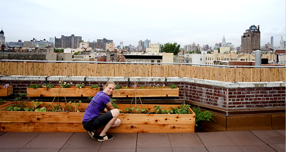 A young woman tends to her rooftop gardens in Manhattan blocked off with wood structures in front of a brick wall with a view of the city 
