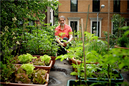 A middle age man siting in his urban garden in NYC with planters of various plants