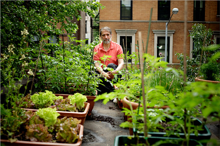 Rooftop Gardens And Urban Farms In Nyc