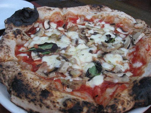 Olio Pizza NYC pie on a plate with thick crispy slightly burned crust, cheesy mozarella, fresh basil and mushrooms