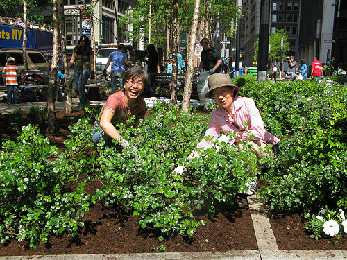 margaret-chin-alliance-downtown-ny-planting-day