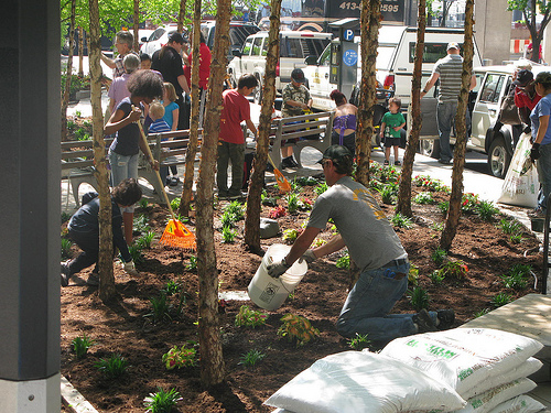 wall-street-park-planting-day-events